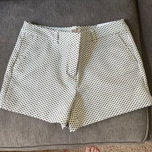 NWT poly spandex Loft shorts